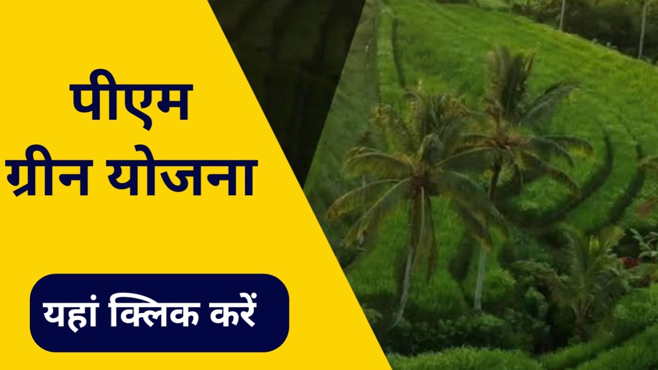 ऑपरेशन ग्रीन योजना|opretion green yojana